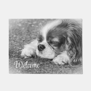 Sleeping Cavalier  Doormat