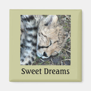 Sleeping Cheetah Cub Photo Magnet