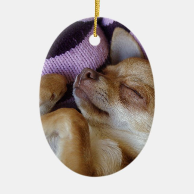 Sleeping Chihuahua Ceramic Tree Decoration (Front)