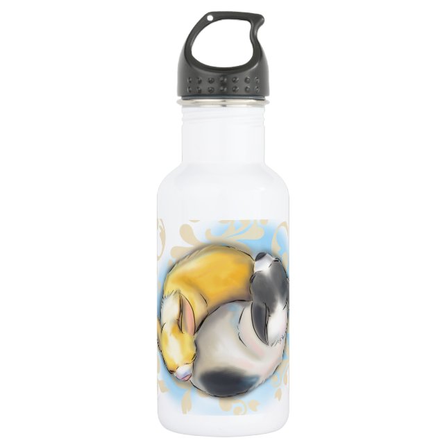 Sleeping Chihuahuas 532 Ml Water Bottle (Front)