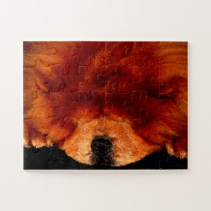 Sleeping Chow Chow 11x14 30pc jpcna Jigsaw Puzzle