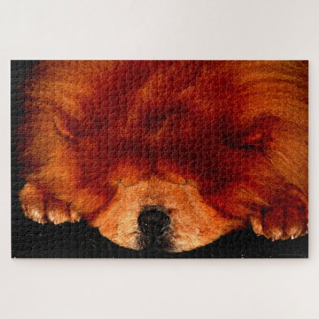 Sleeping Chow Chow 20x30 1014pc jpa Jigsaw Puzzle (Horizontal)