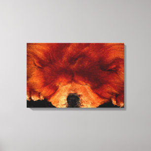Sleeping Chow Chow 24x16 (60x40cm) waca Canvas Print