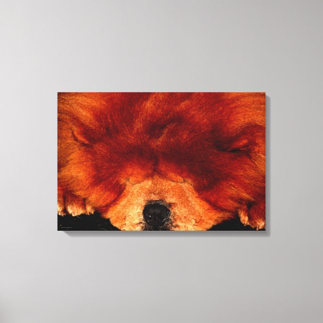 Sleeping Chow Chow 24x16 (60x40cm) waca Canvas Print (Front)