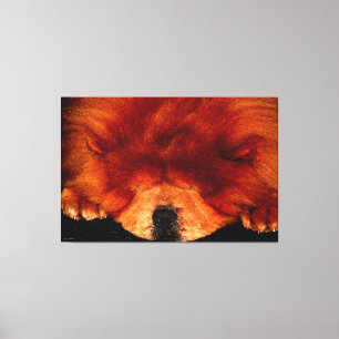 Sleeping Chow Chow 60x40 (150x100cm) waccnm Canvas Print