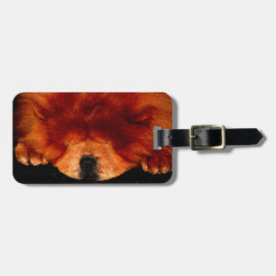Sleeping Chow Chow cd ltcnm Luggage Tag