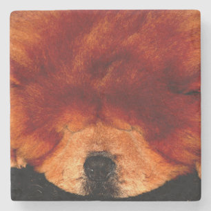 Sleeping Chow Chow coastercn Stone Coaster