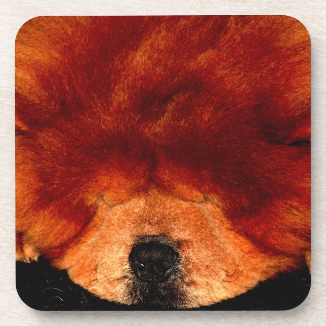 Sleeping Chow Chow coastercna Coaster (Front)