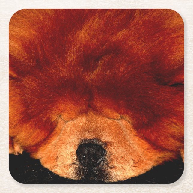 Sleeping Chow Chow coastercna Square Paper Coaster (Front)