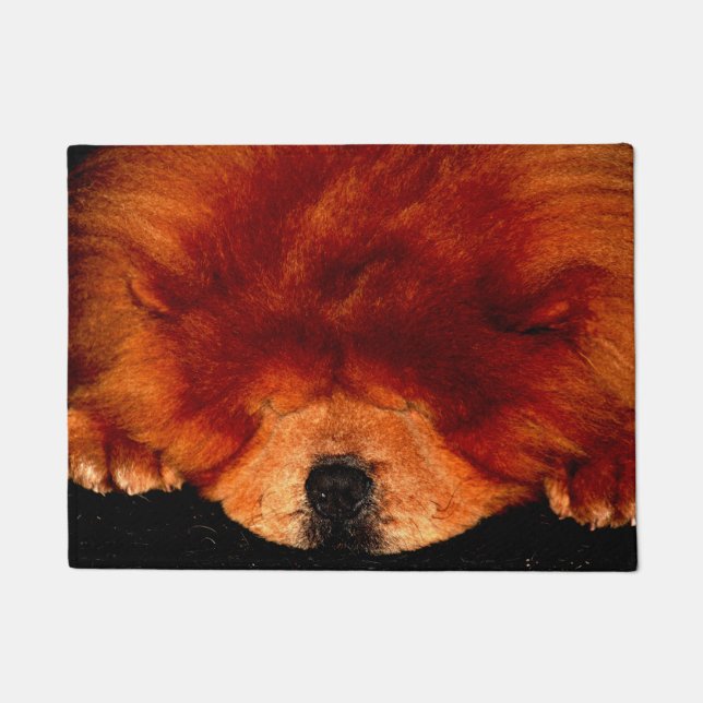 Sleeping Chow Chow dmm Doormat (Front)