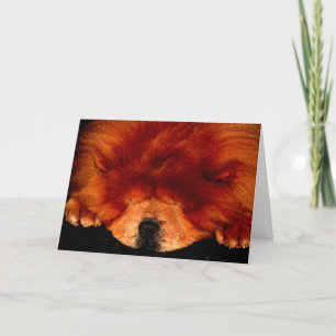 Sleeping Chow Chow gccnm Card