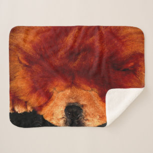 Sleeping Chow Chow sbcna Sherpa Blanket