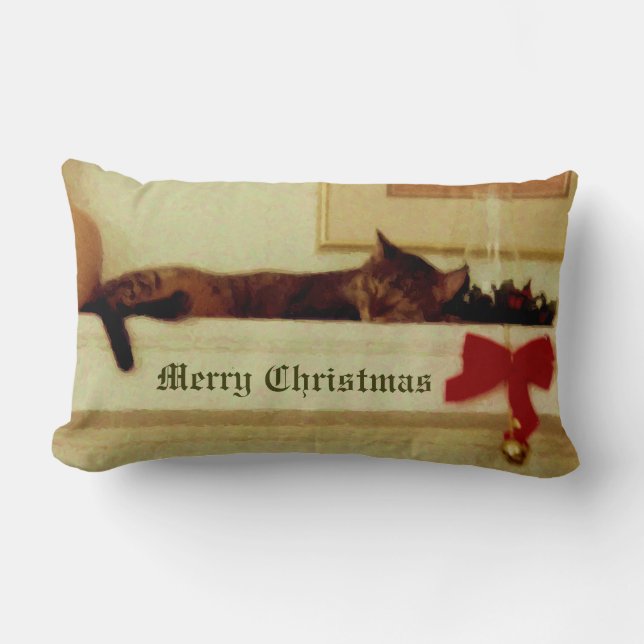 Sleeping Christmas Cat Pillow (Front)