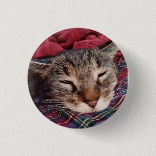 Sleeping christmas cat tabby plaid flannel red 3 cm round badge