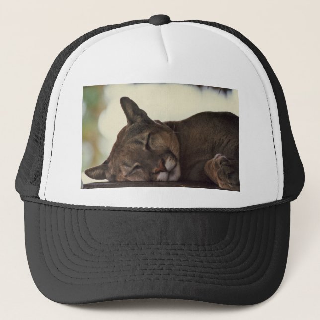 Sleeping Cougar Hat (Front)