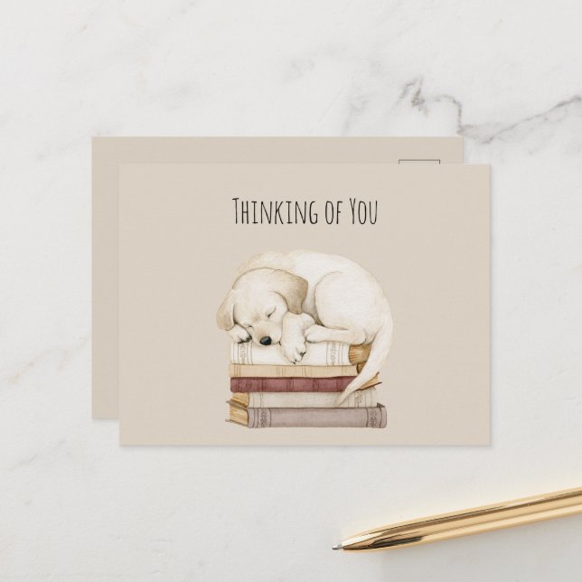Sleeping Cream Dog on Books Postcard (Front/Back In Situ)