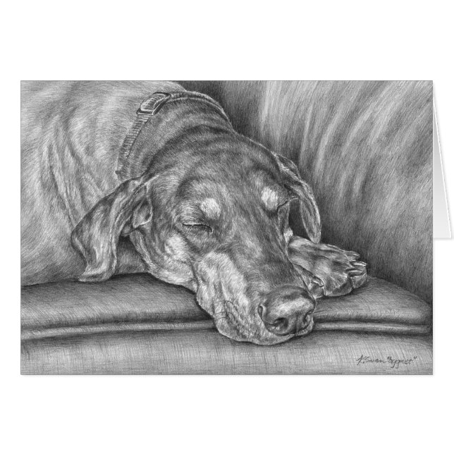 Sleeping Doberman Dog Drawing by Kelli Swan (Front Horizontal)