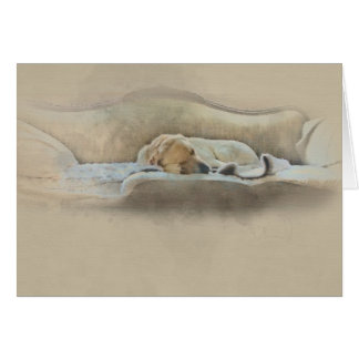 sleeping dog