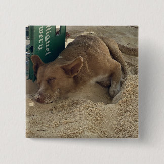 Sleeping dog 15 cm square badge