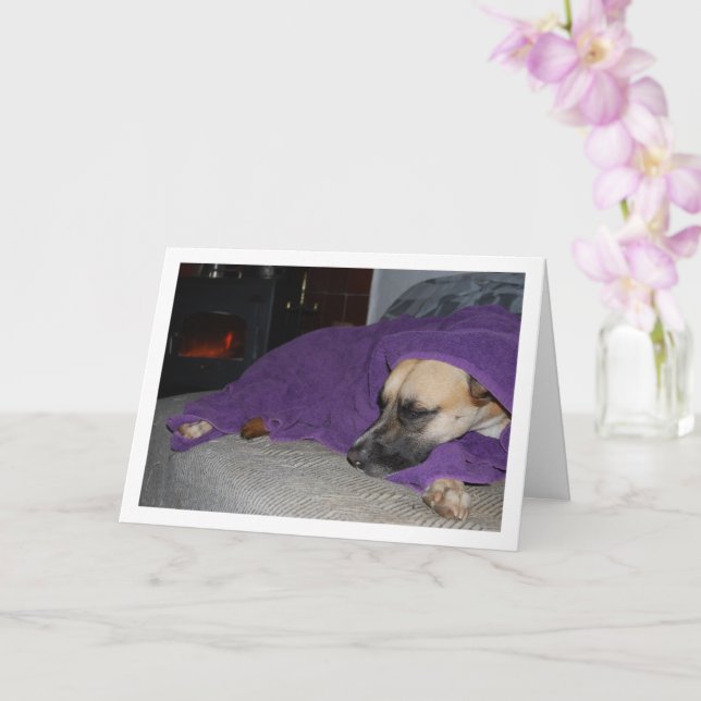 Sleeping Dog by Fireplace Card (Orchid)