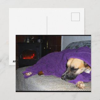 Sleeping Dog by Fireplace Postcard