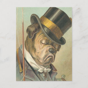 "Sleeping Dog" Vintage Illustration Postcard