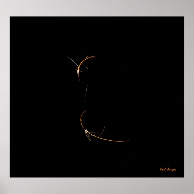 Sleeping Dragon Poster (Front)