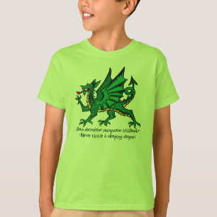 Sleeping Dragon Shirt