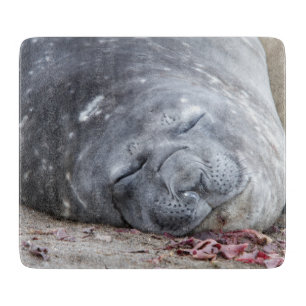 Sleeping elephant seal cutting board