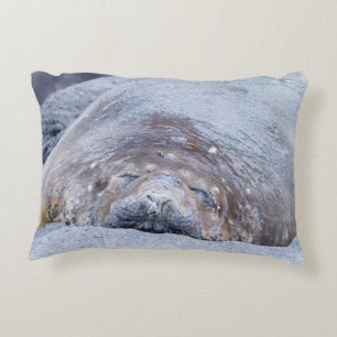 Sleeping elephant seal decorative cushion