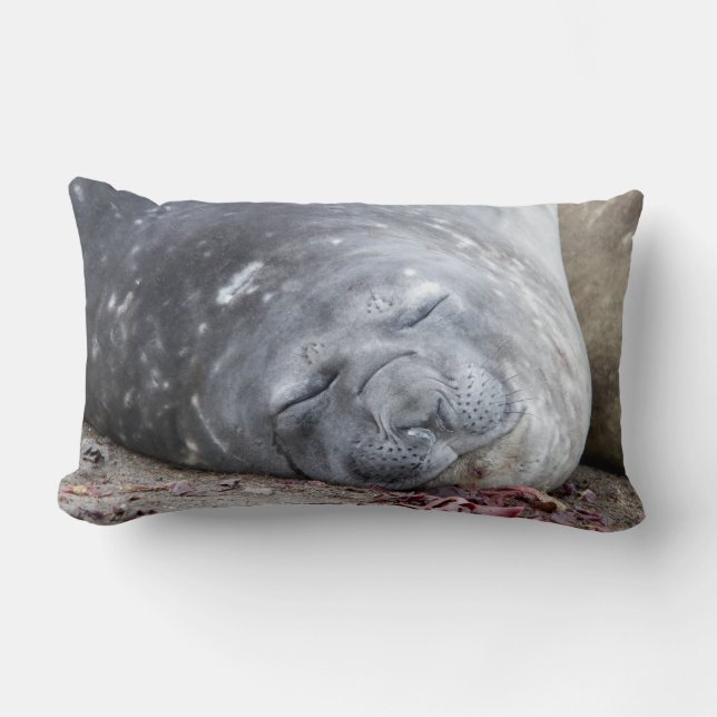 Sleeping elephant seal lumbar cushion (Front)