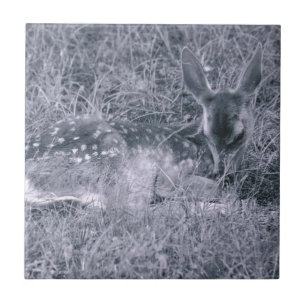 Sleeping Fawn Tile