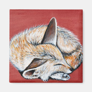 Sleeping Fennec Fox painting Magnet