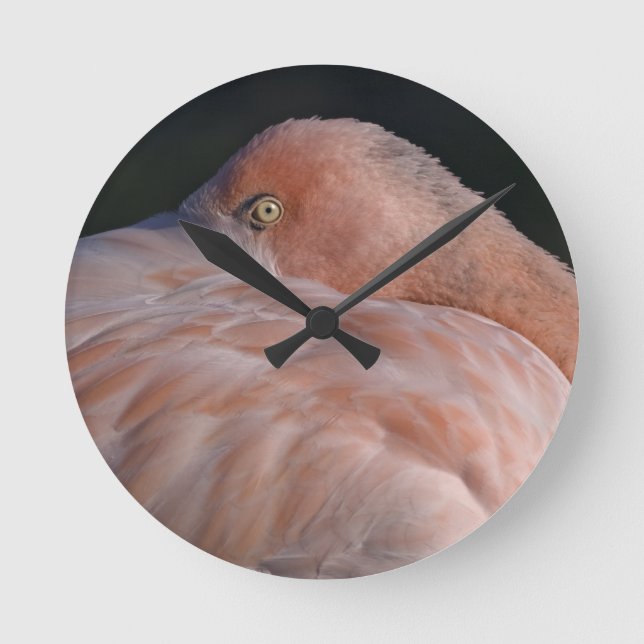 Sleeping Flamingo Clock (Front)