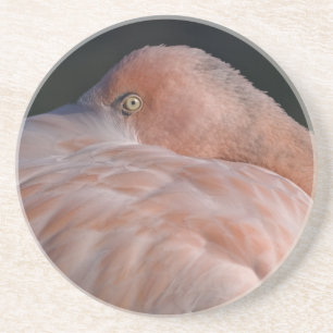 Sleeping Flamingo Coaster