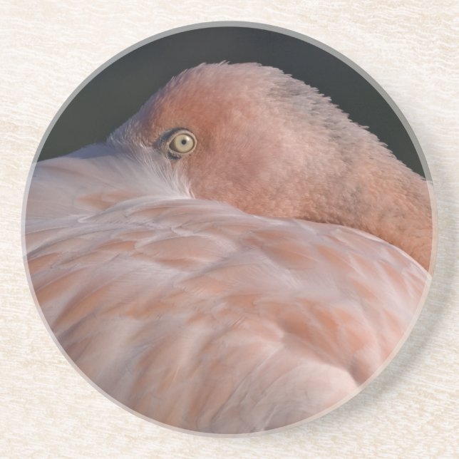 Sleeping Flamingo Coaster (Front)
