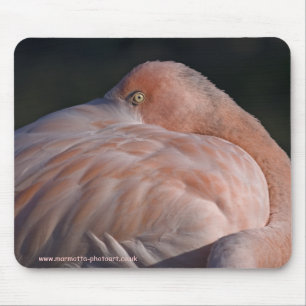 Sleeping Flamingo Mousemat