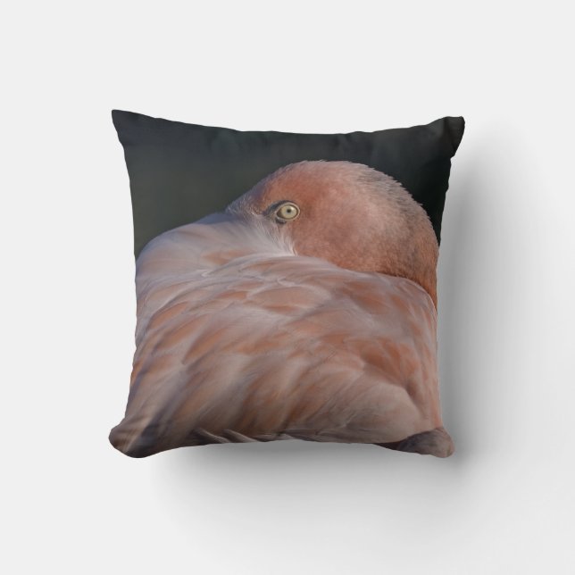 Sleeping Flamingo Pillow (Front)