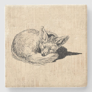 Sleeping Fox Illustrated Art Cute Vintage Animal Stone Coaster