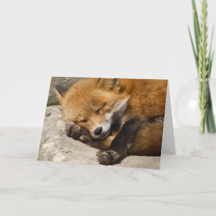 Sleeping Fox Notecard