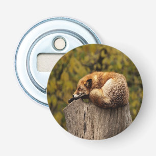 Sleeping fox photo bottle opener