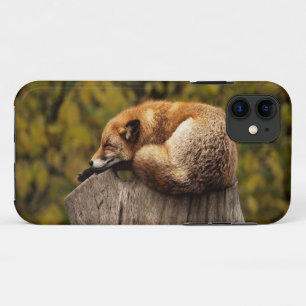 Sleeping fox photo Case-Mate iPhone case