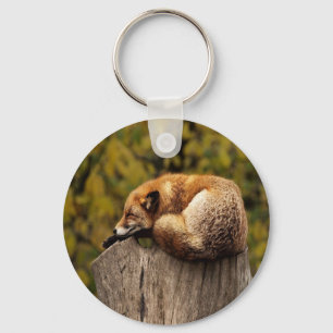 Sleeping fox photo key ring