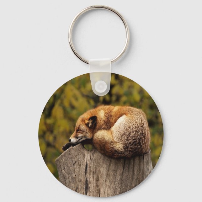 Sleeping fox photo key ring (Front)
