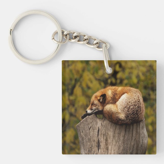 Sleeping fox photo key ring (Front)