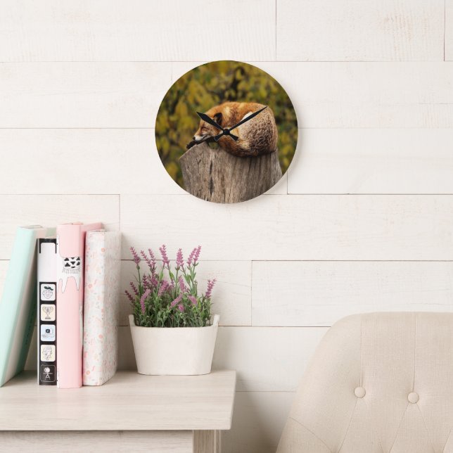 Sleeping fox photo large clock (Reading Room)