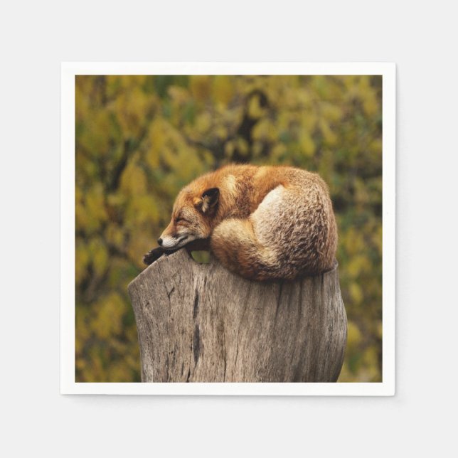 sleeping fox photo  napkin (Front)