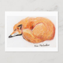 Sleeping Fox Post Card