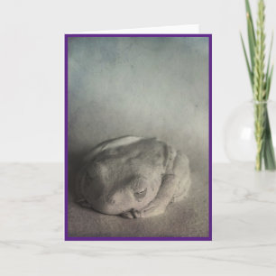 Sleeping Frog Folded Greeting Card