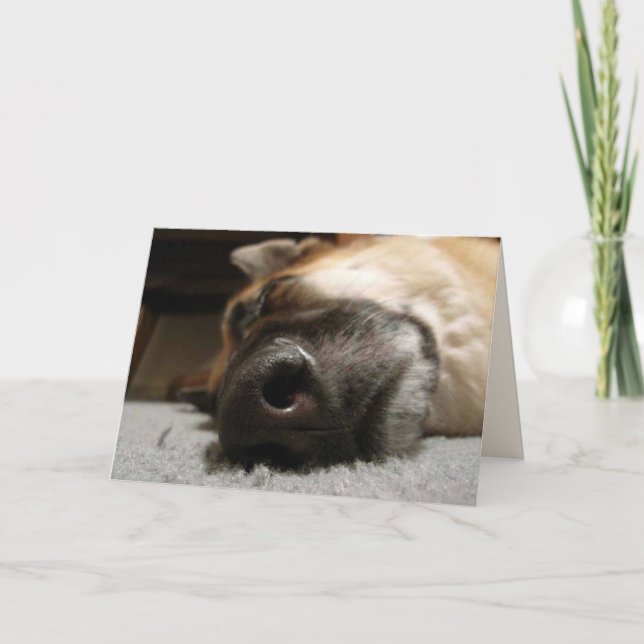 Sleeping German Shepherd Anniversary Card (Front)